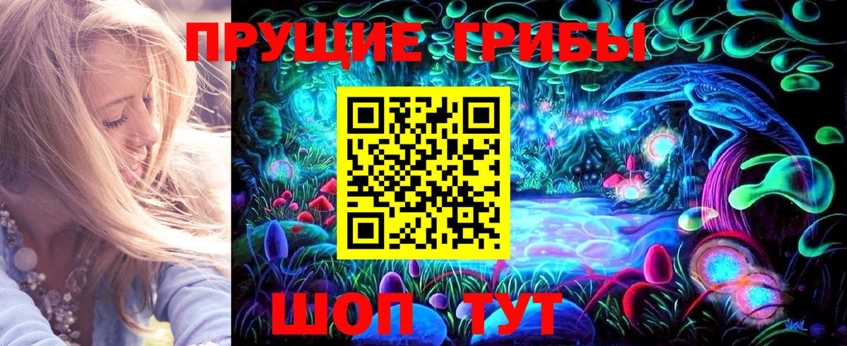 сколько стоит  Галлюциногенные грибы Psilocybe  Кумертау  Вход с VPN  Псилоцибиновые грибы мухоморы 